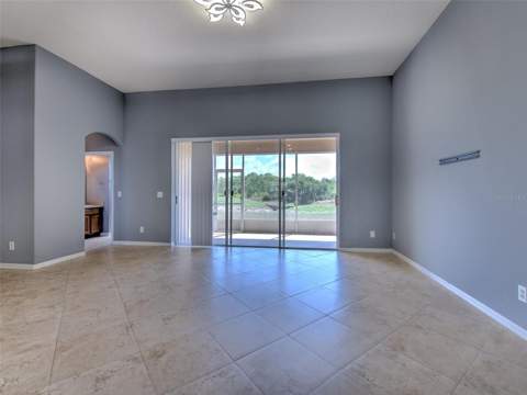 10907 Australian Pine Drive, Riverview FL - photo 12 of 52
