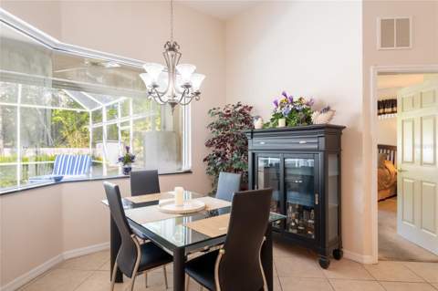 21023 Los Cabos Court, Land O Lakes FL - photo 10 of 44
