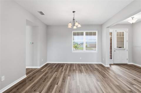 4408 Breeze Isle Lane, Kissimmee FL - photo 8 of 52