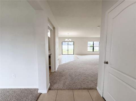 14207 Alistar Manor Drive, Wimauma FL - photo 7 of 27