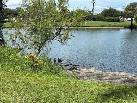 6100 21st Street #15, St Petersburg FL - photo 6 of 6