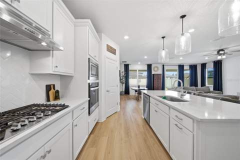 3834 Maple Bay Lane, Land O Lakes FL - photo 17 of 57