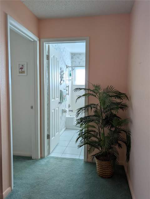 9204 36th Way #6, Pinellas Park FL - photo 9 of 73