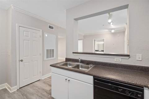 206 E South Street #6007, Orlando FL - photo 7 of 24