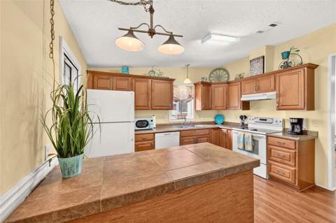 1215 Panama Place, The Villages FL - photo 8 of 50