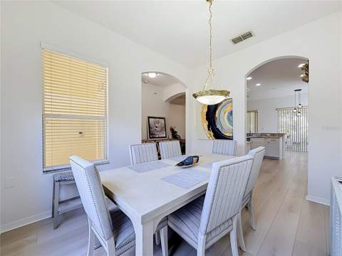 25206 Ormond Court, Leesburg FL - photo 8 of 46