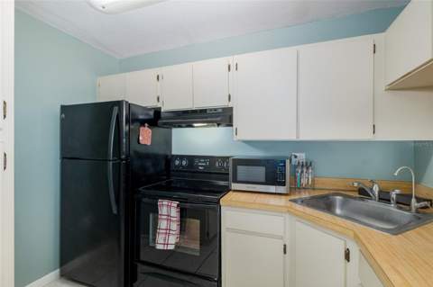 3166 Lake Pine Way #A2, Tarpon Springs FL - photo 11 of 45