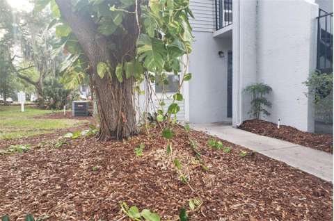 7100 Waterside Drive, starter home for sale in Tampa