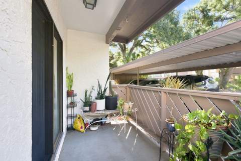 511 Mistletoe Court #A, Safety Harbor FL - photo 24 of 34