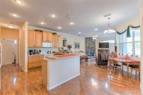 20351 Sabal Street, Orlando FL - photo 13 of 35