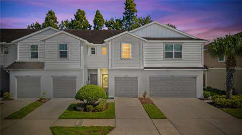 8719 Turnstone Haven Place, home for sale in Tampa 33619