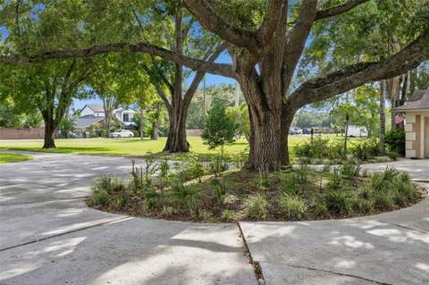 10603 Moore Road, Gotha FL - photo 7 of 17