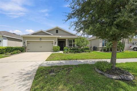 13344 Waterleaf Garden Circle, Riverview FL - photo 24 of 96