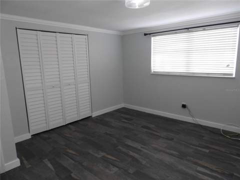 8822 Rocky Creek Drive, Tampa FL - photo 15 of 36