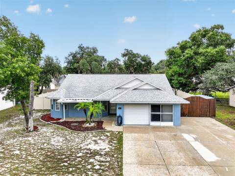 606 Cricket Hollow Lane, Eustis FL - photo 6 of 6
