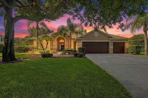 19724 Prince Benjamin Drive, home for sale in Lutz 33549