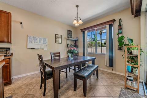 10945 Subtle Trail Drive, Riverview FL - photo 18 of 51