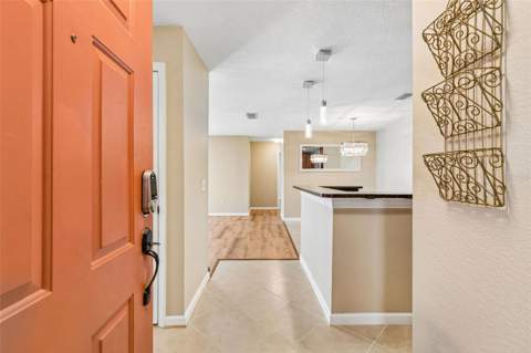 9481 Highland Oak Drive #814, Tampa FL - photo 6 of 67