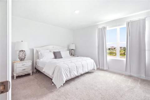 15038 Windflower Alley, Winter Garden FL - photo 16 of 29