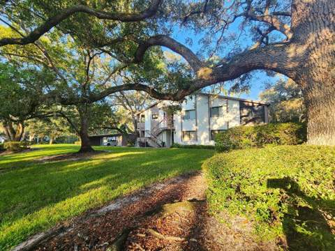 603 Baldwin Avenue #B, Safety Harbor FL - photo 24 of 32