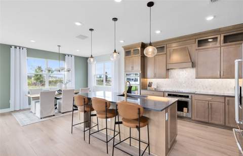 2627 Clear Night Avenue, Kissimmee FL - photo 20 of 43