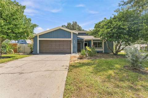 15801 Country Lake Drive, home for sale in Tampa 33624