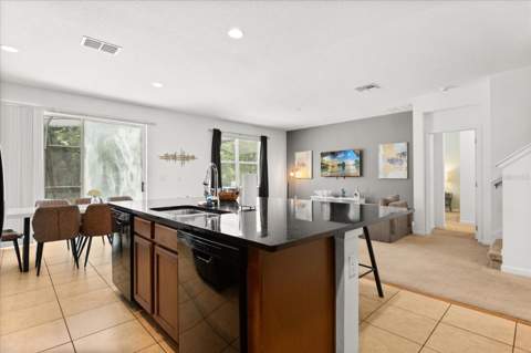 4565 Cabello Loop, Kissimmee FL - photo 8 of 33