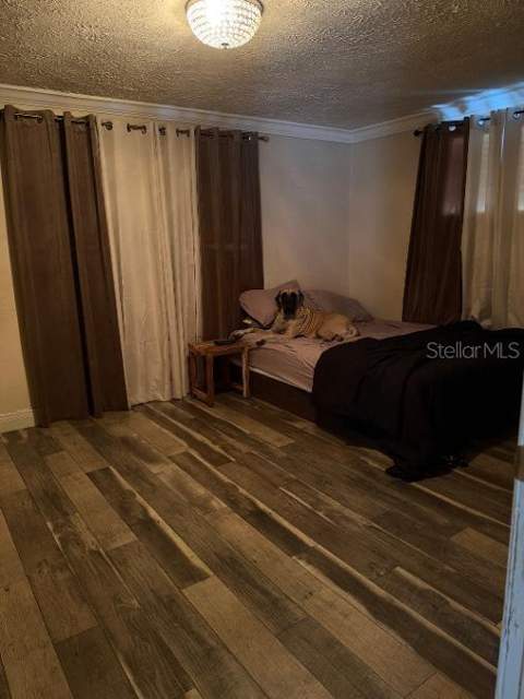 7415 San Moritz Drive, Port Richey FL - photo 6 of 6
