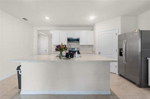 29320 Armoyan Boulevard, Leesburg FL - photo 10 of 41