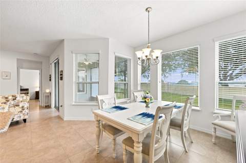 381 Silver Maple Road, Groveland FL - photo 16 of 46