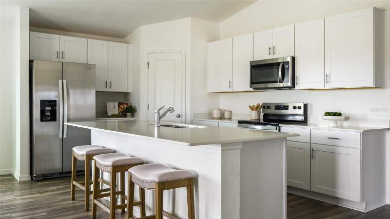 4 bedroom Single Family Residence at 31670 Oyster Trellis Lane, Pasadena Landing, Wesley Chapel — photo 2