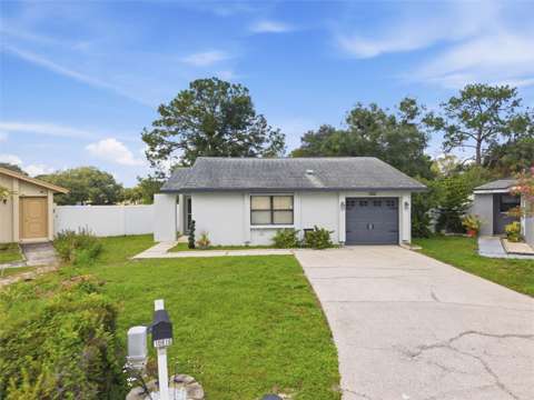 10816 Fairfield Village Drive, home for sale in Tampa 33624