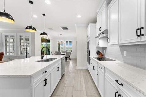 10198 Merrymeeting Bay Drive, Winter Garden FL - photo 10 of 42