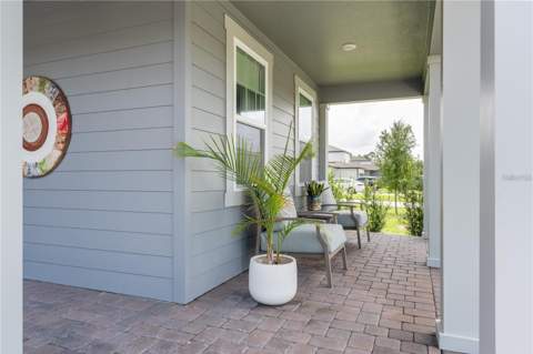11243 Pixie Mandarin Court, Winter Garden FL - photo 11 of 66
