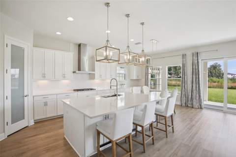 14930 Rider Pass Drive, Lithia FL - photo 9 of 66