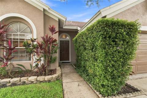 7736 Marbella Creek Avenue, Tampa FL - photo 6 of 6