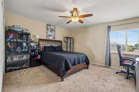 12915 Carlington Ln, Riverview FL - photo 18 of 37