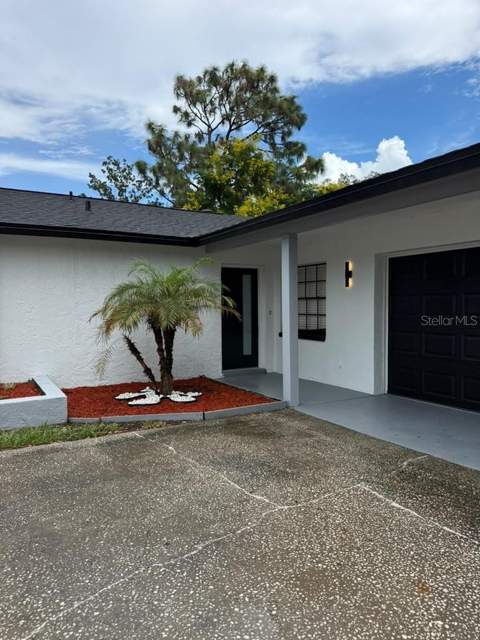 524 Wynnwood Drive, Brandon FL - photo 6 of 6