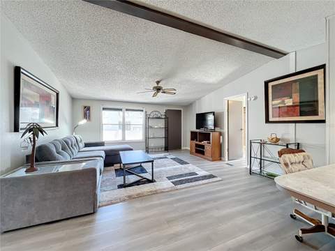 13426 Palm Drive, Astatula FL - photo 6 of 38