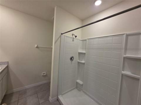17007 Blister Wing Drive, Wimauma FL - photo 10 of 14
