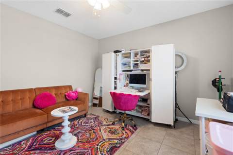 7420 Pearly Everlasting Avenue, Tampa FL - photo 9 of 48