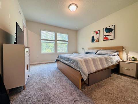 4617 Sparkling Shell Avenue, Kissimmee FL - photo 15 of 23