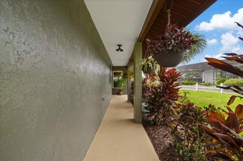 4454 Mitcher Road, New Port Richey FL - photo 6 of 6