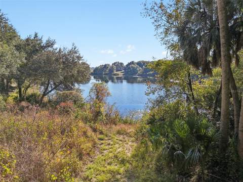 13400 County Road 450, Umatilla FL - photo 6 of 64