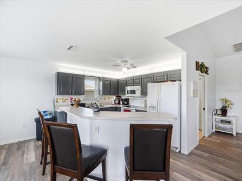 3417 Fernleaf Drive, Hernando Beach FL - photo 13 of 71