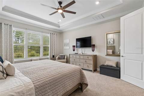 29534 Ginnetto Drive, Wesley Chapel FL - photo 17 of 99