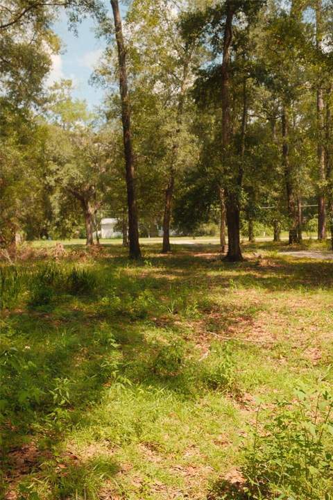 2327 NW 121st Avenue, Gainesville FL - photo 15 of 16