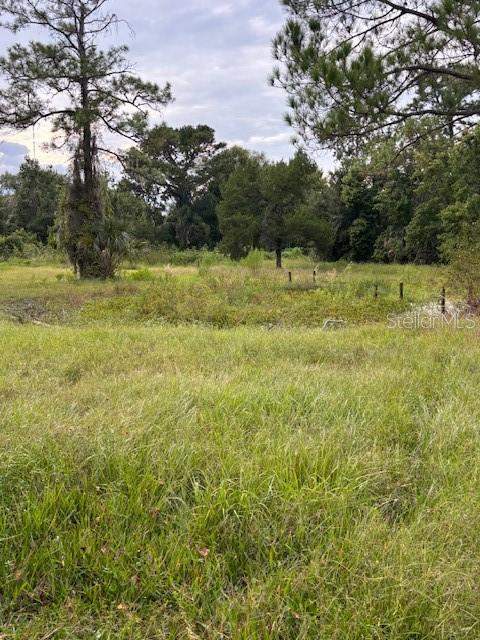 21103 Reindeer Road, Christmas FL - photo 17 of 24