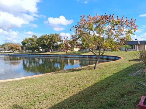 4326 Summersun Drive, New Port Richey FL - photo 21 of 28