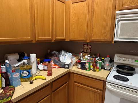 8128 Yellow Crane Drive, Kissimmee FL - photo 13 of 55